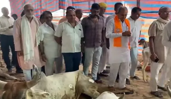 Jalore: भाजपा जिलाध्यक्ष ने विशाल लंपी गौ शिविर की व्यवस्थाओं का लिया जायजा  